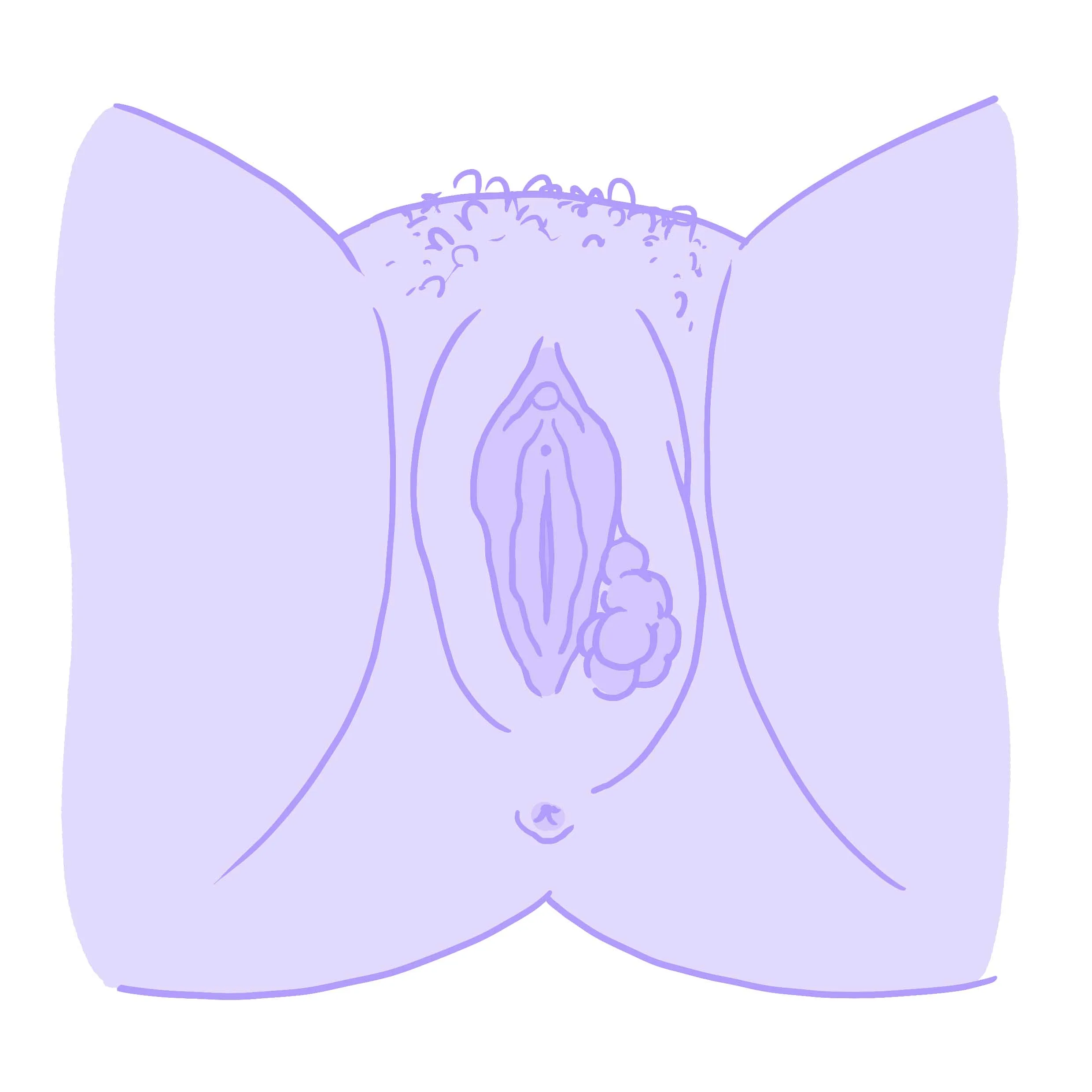 Illustration av Hormonology på vulvavancer.