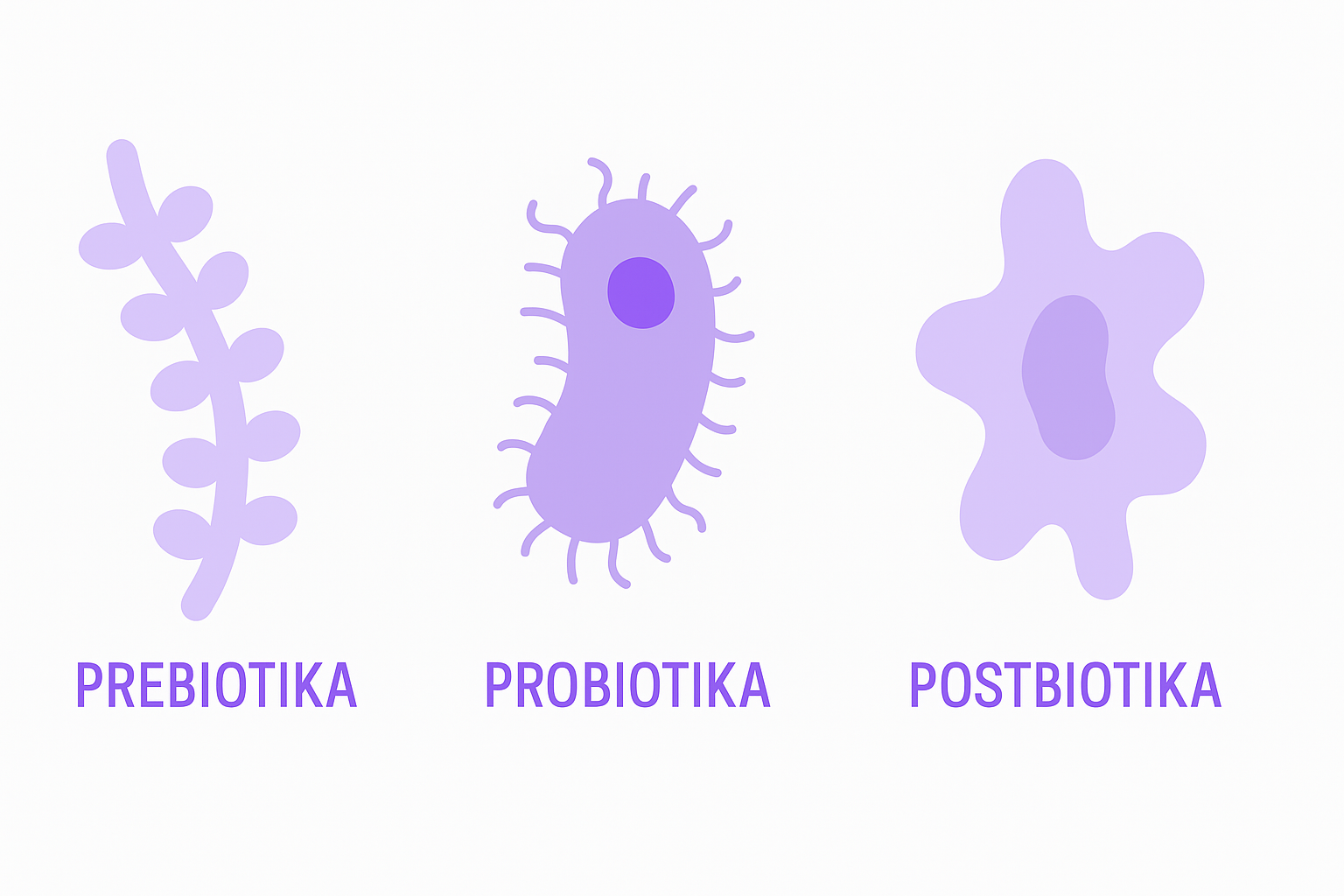 Pre- pro- postbiotika image