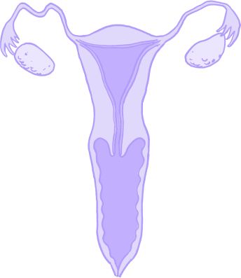 Side image background